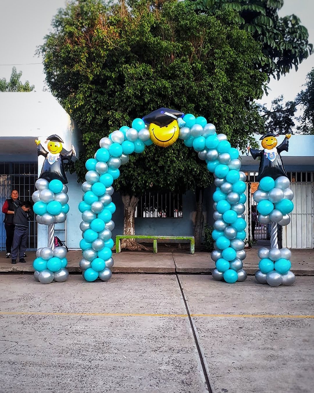 Guirnalda Orgánica De Globos Inflados Con Aire • Envío CDMX